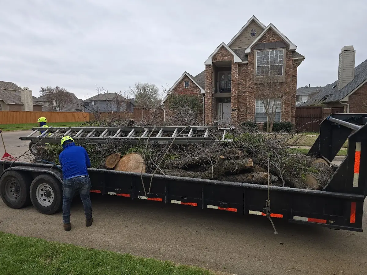 Expert Tree Fertilization with proper safety equipment in Mancos
